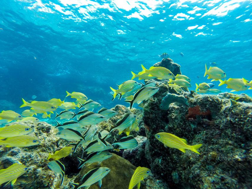 Cozumel: West Coast E-Bike and Snorkeling Tour - Inclusions and Exclusions