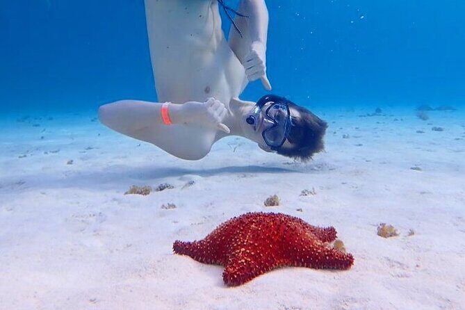 Cozumel's Best: Snorkel Adventure in El Cielo and El Cielito - The Sum Up: Who Is This Tour Best For?