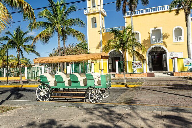 Cozumel's Heart Electric and Horse-drawn Carriage Tour - A Detailed Look at the Cozumel Carriage Tour