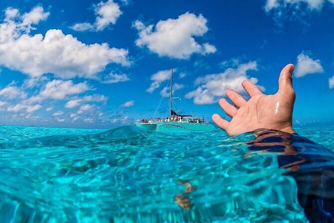 Cozumel's Reefs in El Cielo, Palancar and Columbia Guided Tour - The Itinerary in Detail