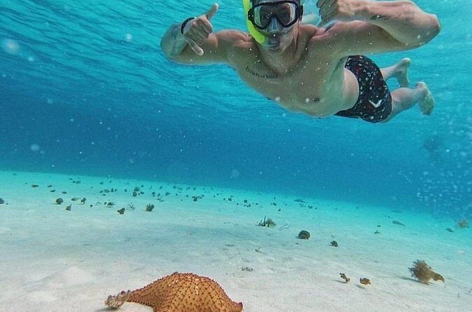 Cozumel's Reefs in El Cielo, Palancar and Columbia Guided Tour - Who Will Love This Tour?