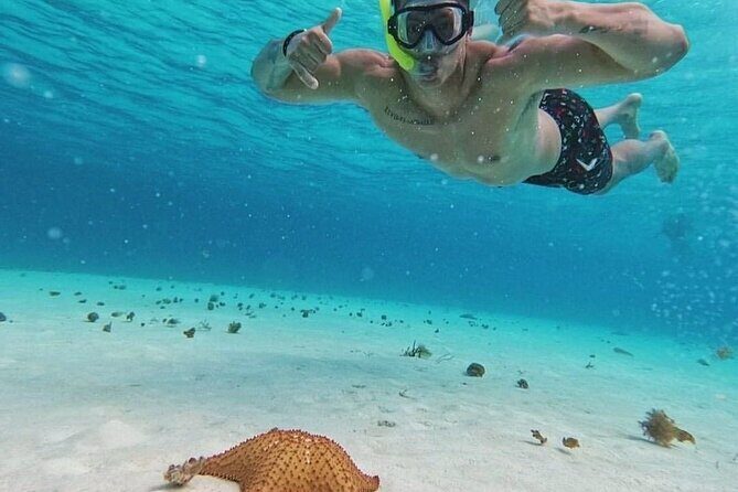 Cozumel's Reefs in El Cielo, Palancar and Columbia Guided Tour - The Sum Up