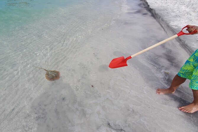 Crab Island Party!! Lily Pad, Paddleboard, Speaker & Cooler - FAQ