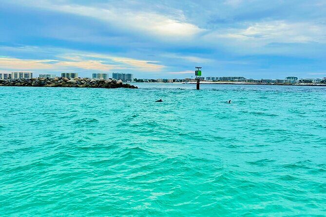 Crab Island Pontoon Rental - Exploring the Experience in Detail