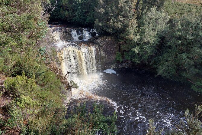 Cradle Mountain: Burnie Shore Excursion - FAQs