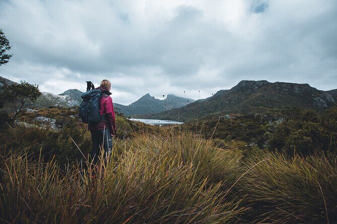 Cradle Mountain Day Tour: Dove Lake Guided Hike with Lunch - Experience the Majesty of Cradle Mountain: Dove Lake Guided Hike with Lunch