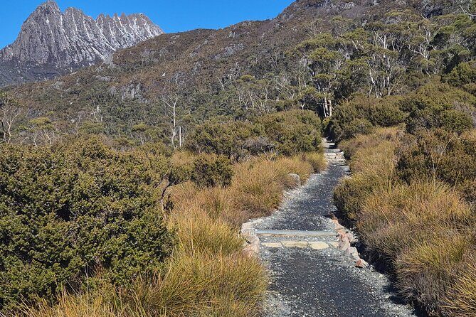 Cradle Mountain Day Tour: Dove Lake Guided Hike with Lunch - Who Should Consider This Tour?