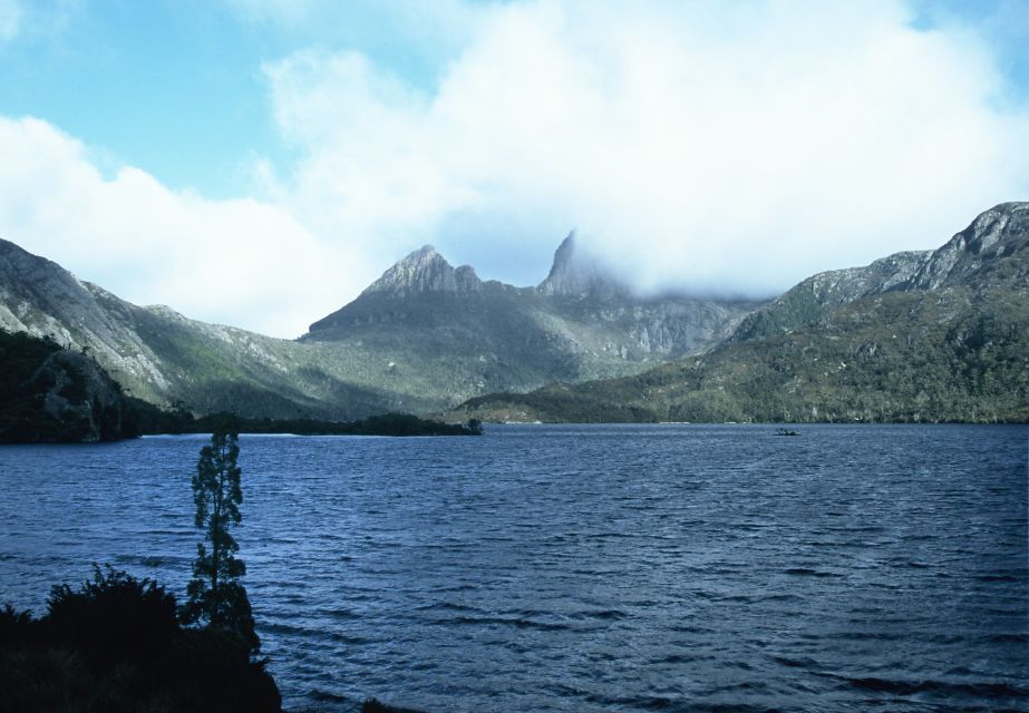 Cradle Mountain National Park by Coach From Launceston - Activity Description