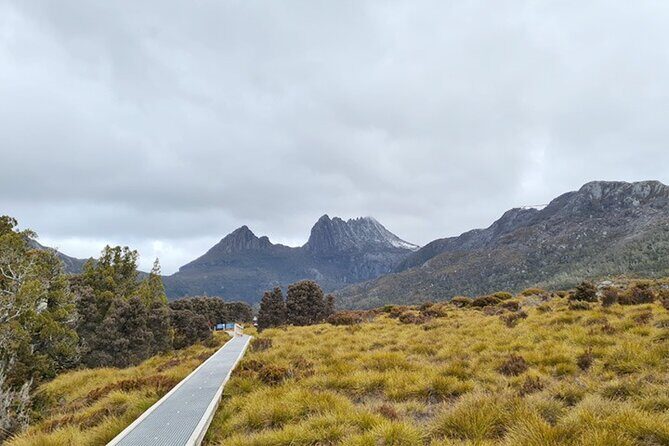 Cradle Mountain National Park Day Tour from Launceston - Key Points