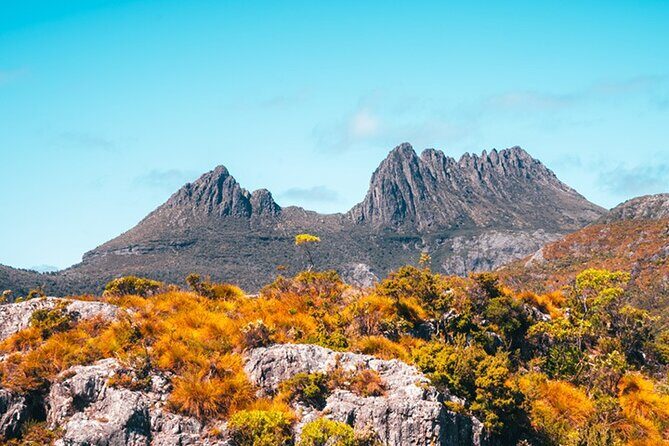 Cradle Mountain National Park Day Tour from Launceston - FAQs About the Cradle Mountain Day Tour