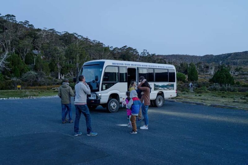 Cradle Mountain Wildlife Spotting after Dark - The Pros and Cons: An Honest Look