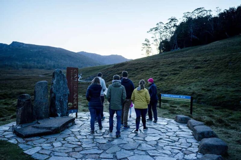 Cradle Mountain Wildlife Spotting after Dark - The Price and Value