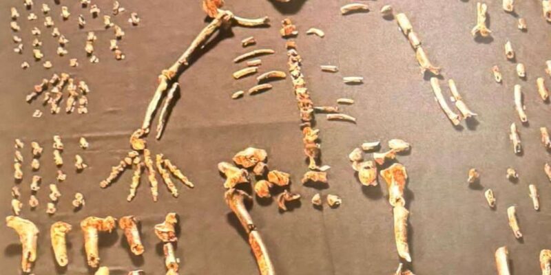 Cradle of Humankind and Lesedi Cultural Village - Good To Know
