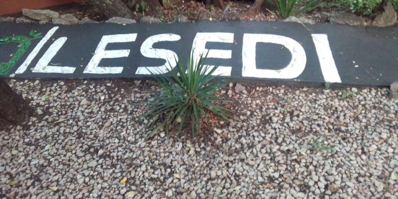 Cradle of Humankind and Lesedi Cultural Village - Cultural Immersion