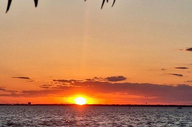 Craft Beer and Wine Sunset Cruise in Palm Beach - The Experience from the Reviews