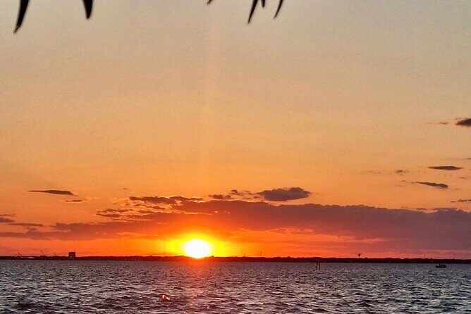 Craft Beer and Wine Sunset Cruise in Palm Beach - The Sum Up