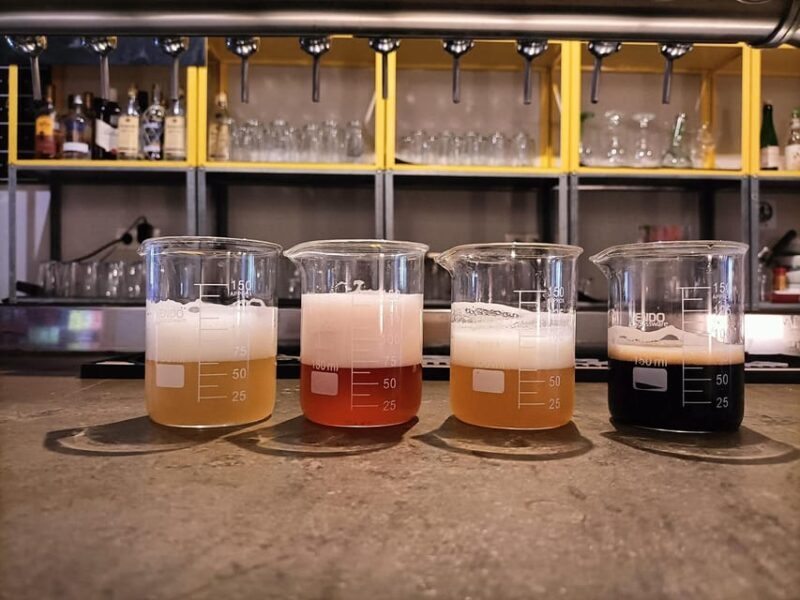 Craft Beer Tasting and tapas in Valencia - A Closer Look at the Craft Beer and Tapas Tour