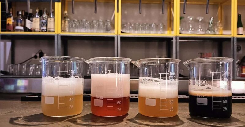 Craft Beer Tasting and tapas in Valencia - Who Should Consider This Tour?