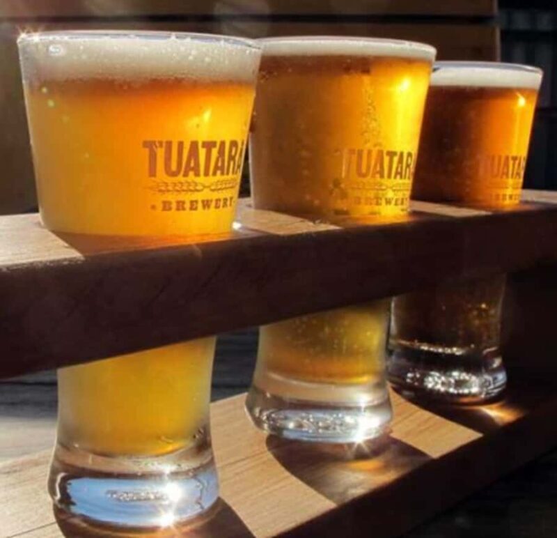 Craft beers & car museum - Half Day Tour - Analyzing Value and Practical Details