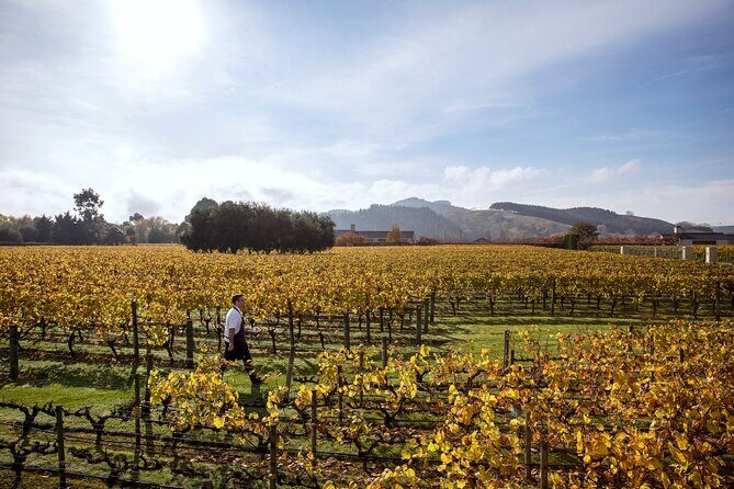 Craggy Range Deluxe - Hawke's Bay Wine Tour - The Sum Up: The Value of the Craggy Range Deluxe Tour