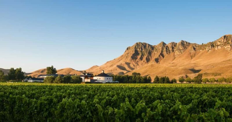 Craggy Range Deluxe, x2 winery tastings + Te Mata Peak - The Practicalities: Values and Logistics