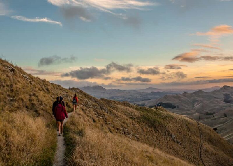 Craggy Range Deluxe, x2 winery tastings + Te Mata Peak - Authentic Experiences and Authentic Views