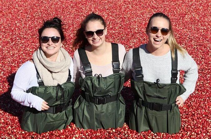 Cranberry Plunge and Hardy Lake Hike Adventure - Who Will Enjoy This Tour Most?