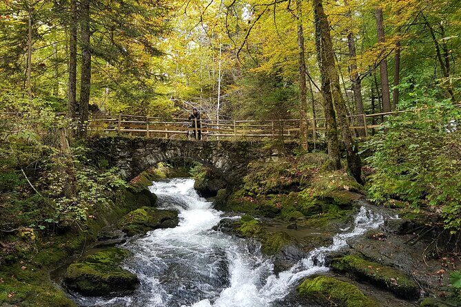 Crash Landing on you Film Location Private Tour from Interlaken - FAQ