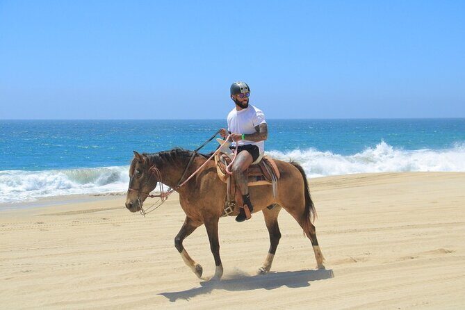 Create your COMBO: Choose 2 of the Best Tours in CABO - Why choose a combo tour?