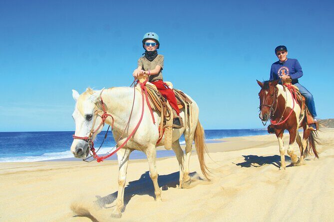 Create your COMBO: Choose 2 of the Best Tours in CABO - The scenery and activities