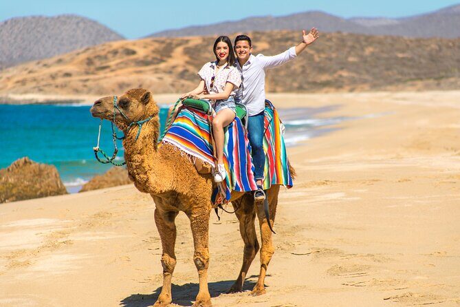 Create your COMBO: Choose 2 of the Best Tours in CABO - Authentic reviews and traveler impressions