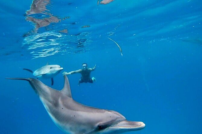 Create-Your-Own Luxury Adventure in Bimini with photographer - Key Points