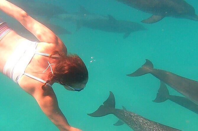 Create-Your-Own Luxury Adventure in Bimini with photographer - FAQ