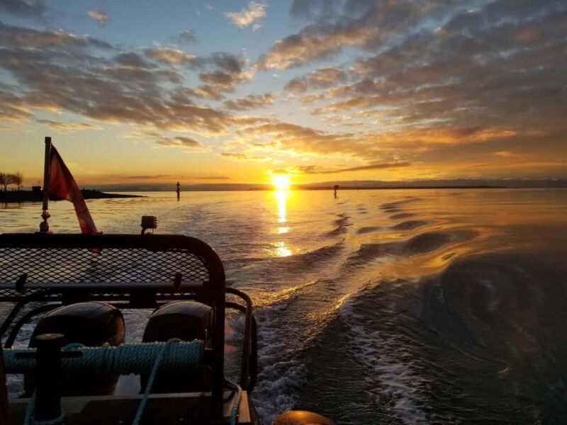 Crescent Beach: Sunset Wildlife Cruises in BC - Key Points