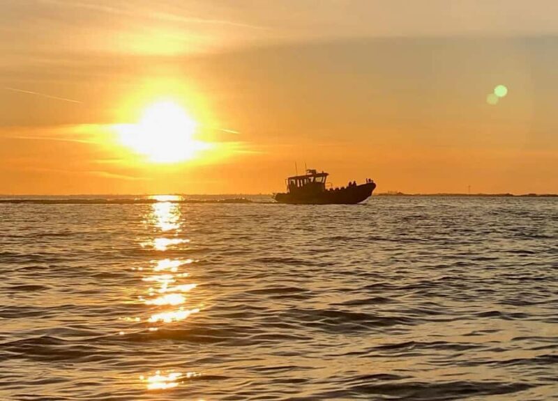 Crescent Beach: Sunset Wildlife Cruises in BC - An Introduction to the Experience