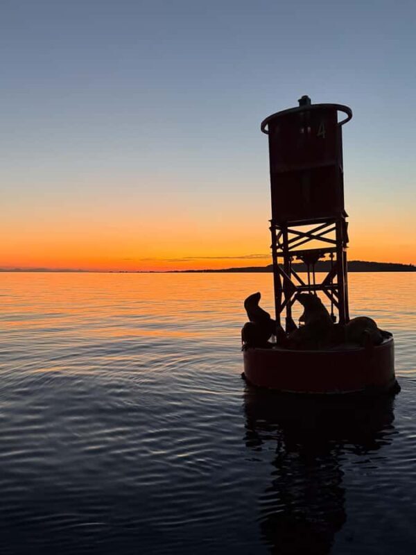 Crescent Beach: Sunset Wildlife Cruises in BC - The Value of This Experience