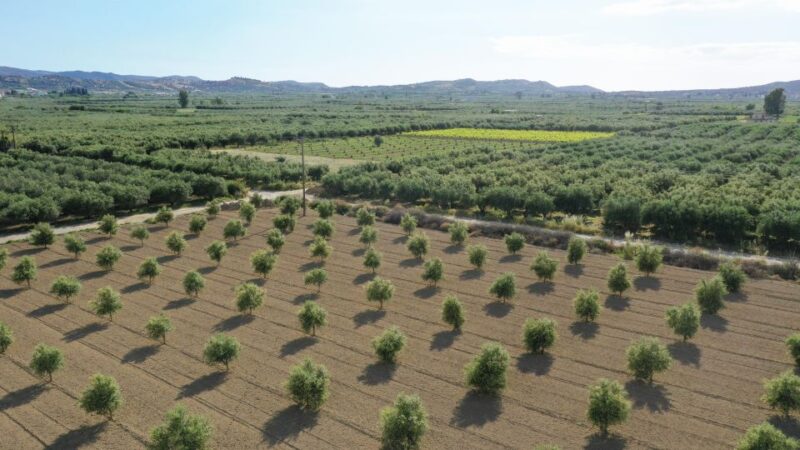 Cretan Farm Tour With Cheese-Making & Food Picnic - Itinerary and Experience
