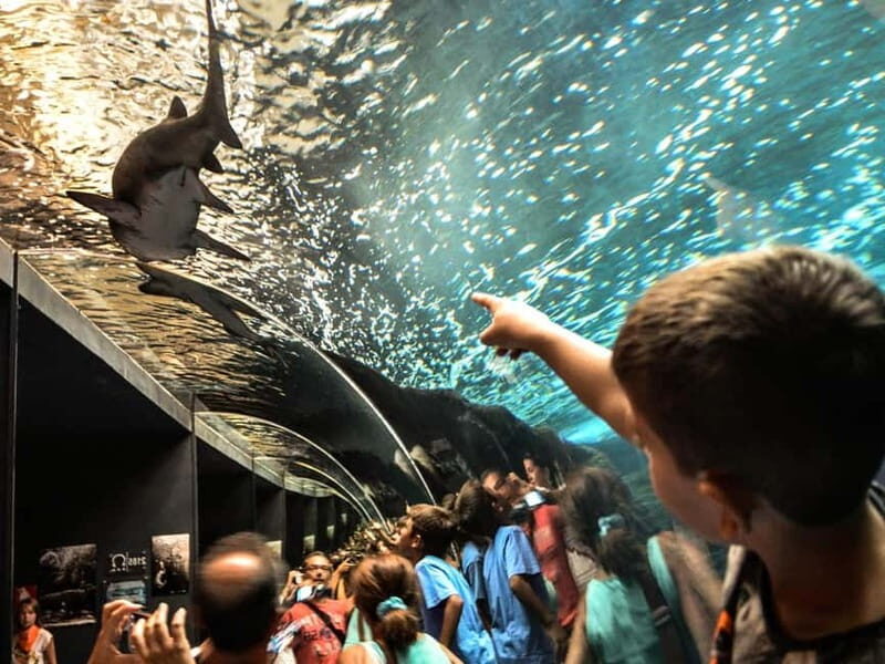 Cretaquarium Tour - Why This Tour Will Suit You