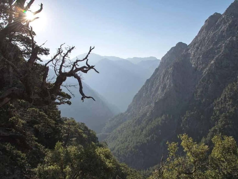 Crete Above the Clouds: Private 4x4 White Mountains Safari - Conclusions