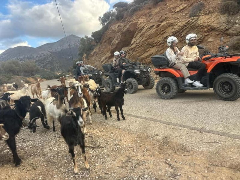 Crete: Agia Pelagia Quad Safari Private Tour - What is the Crete: Agia Pelagia Quad Safari?