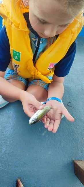 Crete: Boat Cruise with Fishing, Swimming, Lunch, and Drinks - Crete: Boat Cruise with Fishing, Swimming, Lunch, and Drinks — A Complete Day of Adventure and Culture