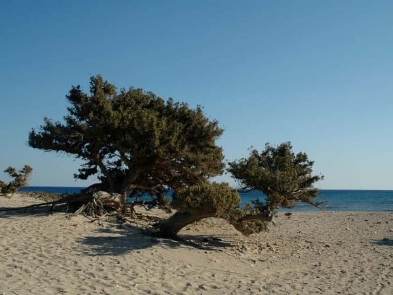 Crete: Chrissi Island Yacht Cruise with Lunch & Snorkeling - Frequently Asked Questions