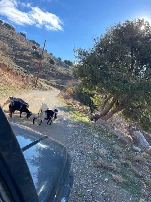 Crete: Explore Lassithi Plateau, Myths & Cretan Cuisine - Final Thoughts