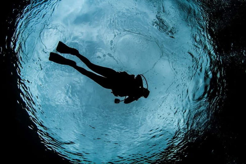 Crete: Guided Diving Experience for Certified Divers - What Makes Crete’s Underwater Environment Special?