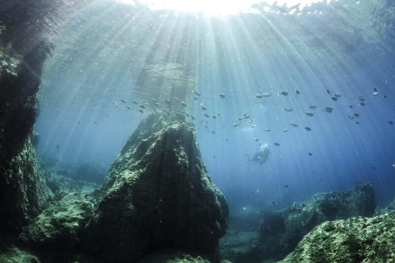 Crete: Guided Diving Experience for Certified Divers - Pricing and Value