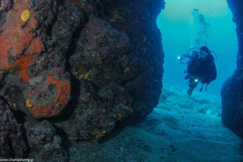 Crete: Guided Diving Experience for Certified Divers - Final Thoughts
