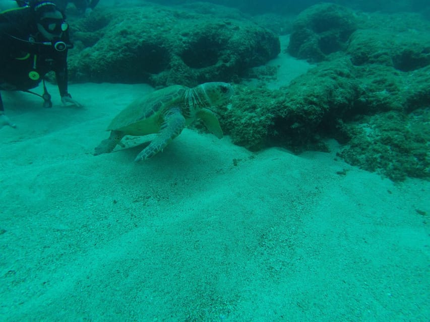 Crete: Guided Diving Experience for Certified Divers - Final Thoughts