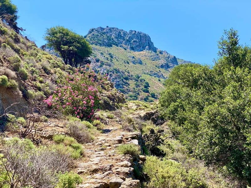 Crete: Guided Hiking Tour, Kavousi Canyon & Swimming - Key Points