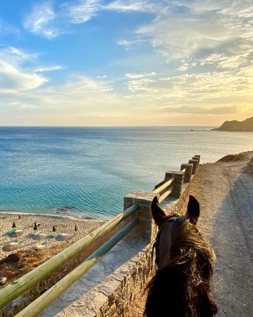 Crete Horse Riding: East Coastline Ride - Practical Tips for Travelers