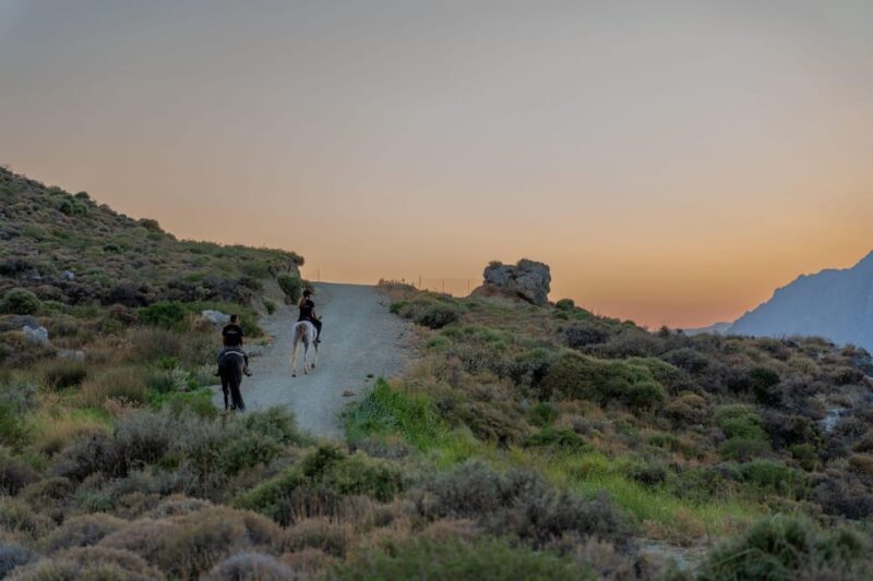 Crete Horse Riding: Mesmerising Sunset Ride - The Experience in Detail